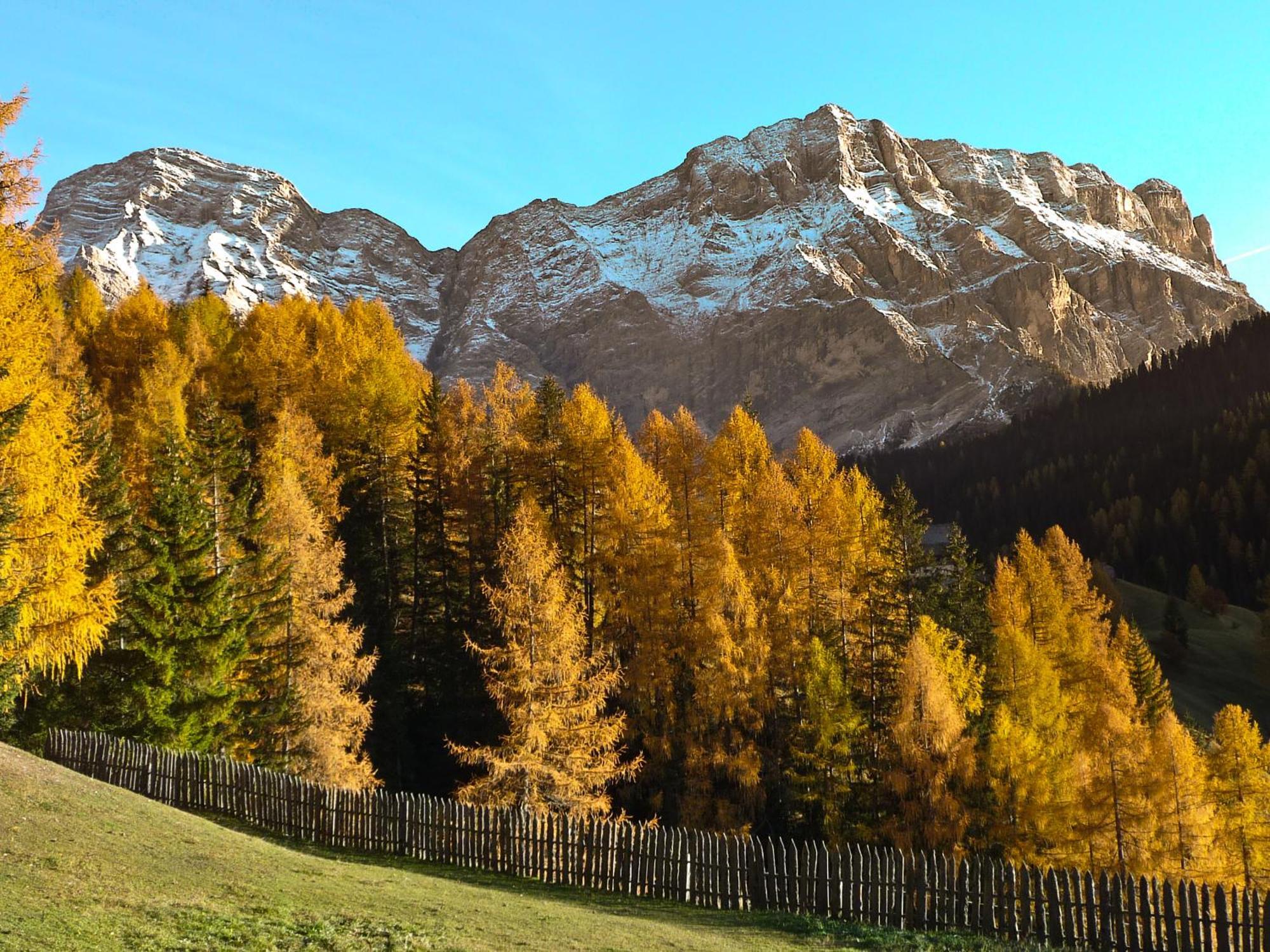 Apartment Ciasa Laoi San Cassiano  Exteriör bild